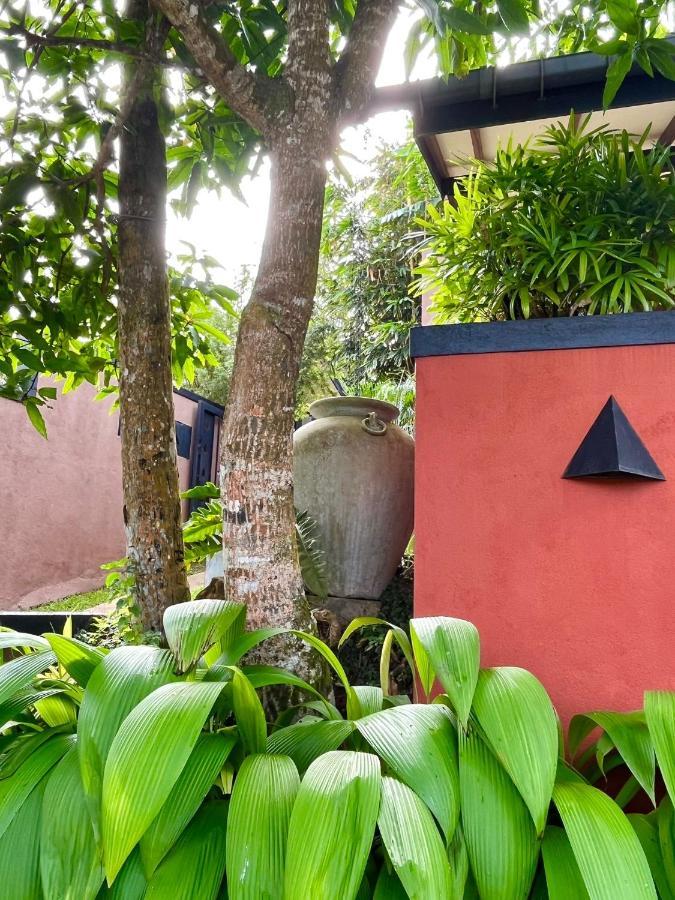 Nisala Villas Hikkaduwa Ngoại thất bức ảnh